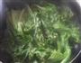 白灼生菜的做法图解4