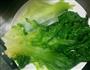 蒜蓉耗油生菜的做法图解2