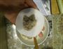 水晶虾饺的做法图解7