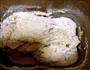 椰蓉辫子面包的做法图解2
