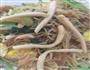 鱿鱼丝海鲜炒粉干的做法图解8