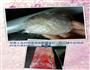 咸鸡蛋的做法图解3