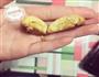 迷你肉松饼干的做法图解8