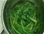 多味鸡翅的做法图解2