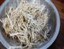 干炸“小人参”香菜根的做法图解3