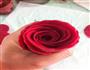 红玫瑰可丽饼的做法图解18