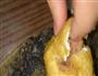 酿油豆腐的做法图解5