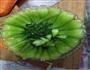 香菇油菜的做法图解5