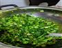 腊肉菜苔锅贴的做法图解1