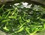 凉拌菠菜的做法图解3