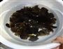 凉拌黑木耳的做法图解3