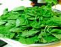 芥辣根焯拌青苋菜的做法图解1
