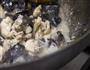 张家界野生木耳炒土鸡的做法图解4