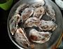 家里吃生蚝的做法图解5