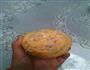 适合三高人群的南瓜胡萝卜面包的做法步骤8