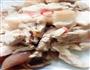 东北猪肉炖酸菜的做法图解9