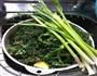 蒸白蒿的做法图解2
