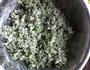 蒸白蒿的做法图解4
