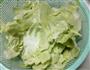 手撕包菜的做法图解1