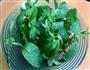 酸辣薄荷苗的做法步骤2