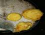 西葫芦饼的做法图解4