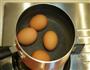 炖锅煮茶叶蛋的做法图解1