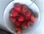 草莓酱的做法图解1