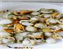 温拌扇贝的做法图解2