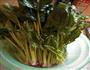 凉拌菠菜的做法图解1