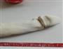 全麦胚芽馒头的做法图解5