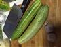 凉拌黄瓜的做法图解1