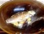 鲫鱼豆腐汤的做法图解3