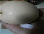 润肺止咳佳品――川贝炖雪梨的做法图解2