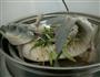 胡椒草鱼的做法图解4
