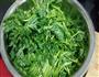 蒸茼蒿的做法图解3