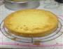 美人鱼酸奶慕斯蛋糕的做法步骤10