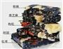 新品阿胶膏更适合夏季的做法图解5