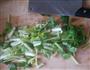 芹菜小辣椒咸菜的做法图解2