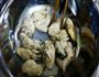 电炉烤生蚝的做法图解1