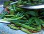 清炒四季豆的做法图解16