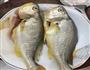清蒸黄花鱼的做法图解2