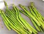 香煎芦笋的做法图解4