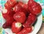 自制草莓酱的做法图解1