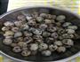 五香鹌鹑蛋的做法图解6