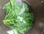 白灼农家芥兰苗的做法图解6