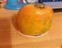 木瓜奶冻的做法图解5
