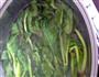 油泼菠菜的做法图解2
