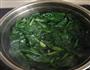 凉拌菠菜的做法图解2