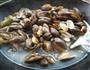 鲜美够味的河蚌的做法图解3