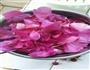 牡丹花酱的做法步骤1